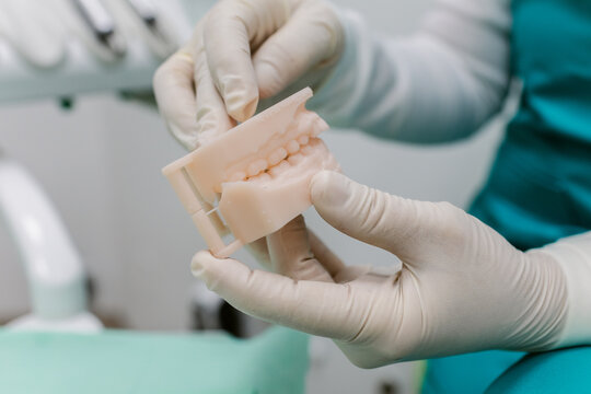 Dental Model Demonstration