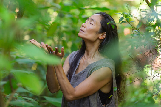 Sacred Moment in the Forest

