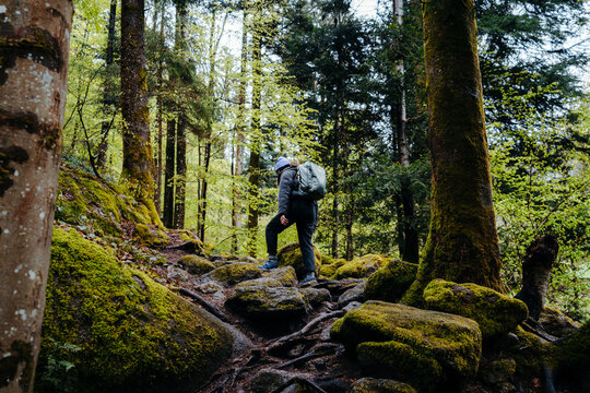 Lone hiker in green natural forest