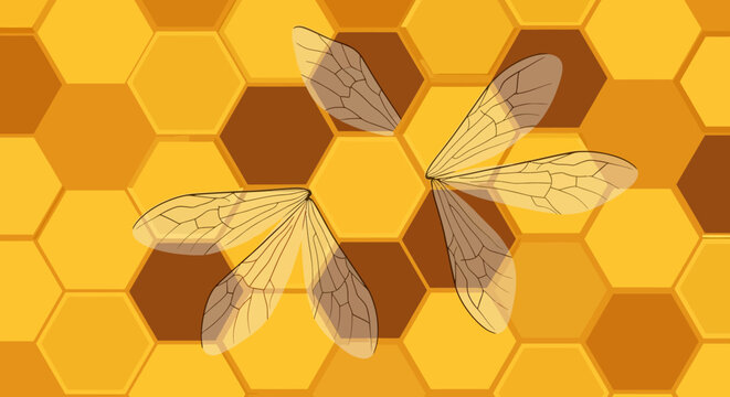 Honeycomb Pattern with Bee Wings Illustration.