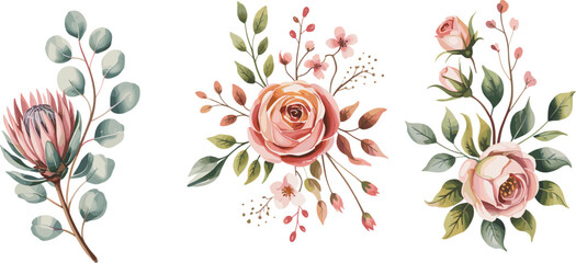 Hand,drawn,botanical,floral,illustration,set,of,elegant,rose,flowers,green,foliage,eucalyptus,leaves,isolated,white,background,romantic,luxury,design