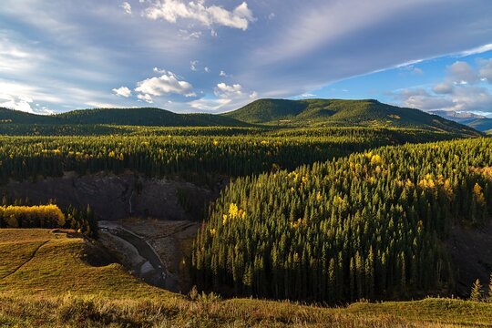 Autumn Landscape In The Kananaskis Mountains