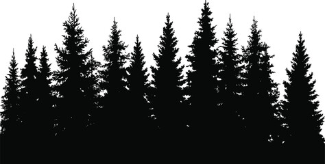 WebDense forest silhouette illustration, coniferous pine trees, natural landscape skyline, wilderness environment design, environmental theme art, flat vector illustration © Noman