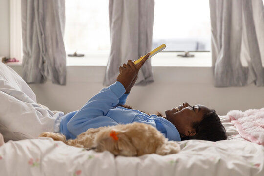 Streaming videos Smartphone bedroom dog pet 