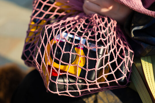  Disposable Cameras in Pink Mesh Bag