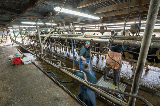 Team work: blood sampling