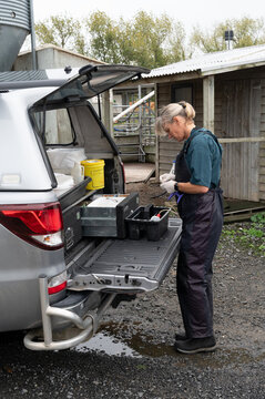 Work vehicle