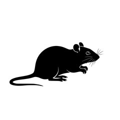 Fototapeta premium A sleek black silhouette of a rodent standing on all fours in profile view