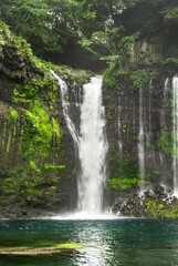 Obraz premium 富士宮・白糸の滝：富士の湧水が織りなす繊細な白い糸と清冽な滝壺 / Shiraito Falls in Fujinomiya: Delicate White Threads of Fuji's Spring Water and a Pure Basin