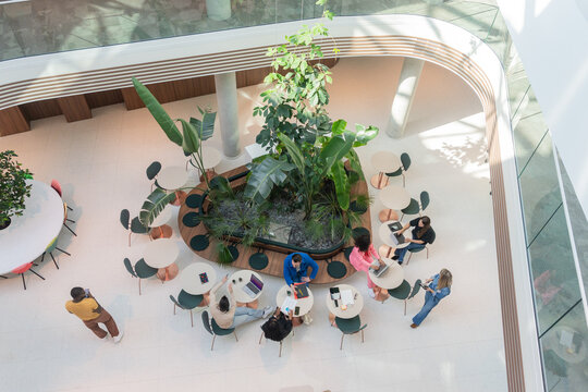 Overhead View Of Coworking Atrium,
