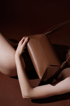 Luxury Fashion with Brown Leather Bag