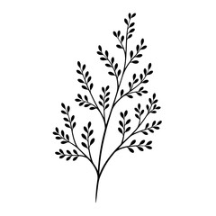 Delicate black and white illustration of a leafy branch with small leaves © Vector Hub24