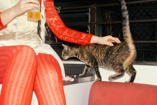 Young woman with wig drinking in kitchen and petting cat 