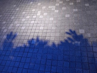 タイルに伸びる葉っぱのシルエット