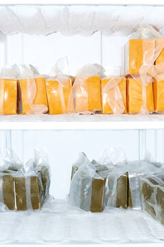 Frozen blocks of various colored food preparations in a freezer
