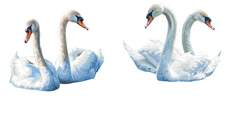 Obraz premium Two Swans with Long Necks in Blue Water Set Isolated on Transparent Background, PNG