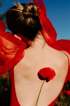 Woman  holding poppy flower on back in poppy field