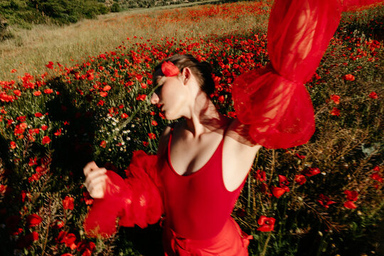Blure effect of dancer poppy field with red poppy 