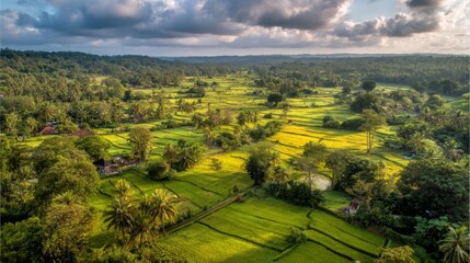 Lush Green Rice Fields Under Dramatic Clouds and Vibrant Sky in Serene Rural Landscape of Tropical Paradise at Sunset