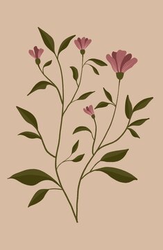 Illustration of some wild pink flowers