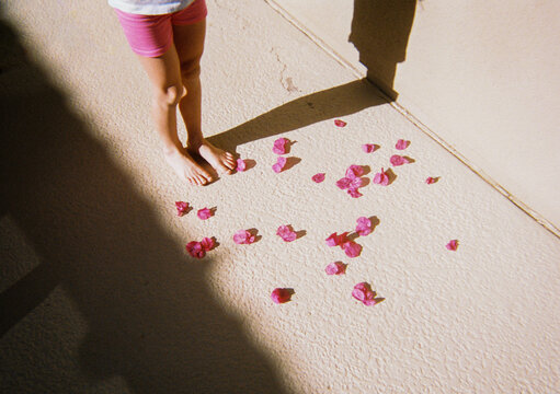 Child's bare feet standing on patio with pink flower petals