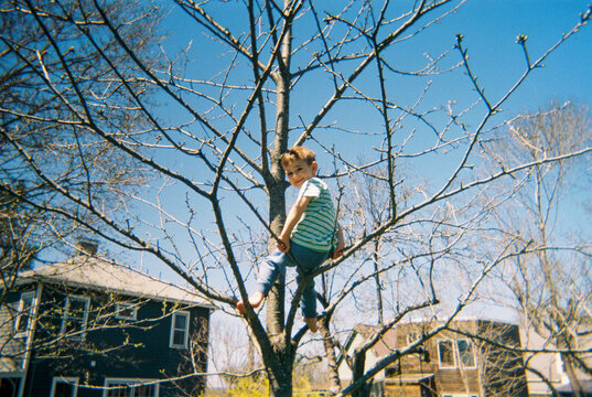 Boy climbing a backyard cherry tree in spring