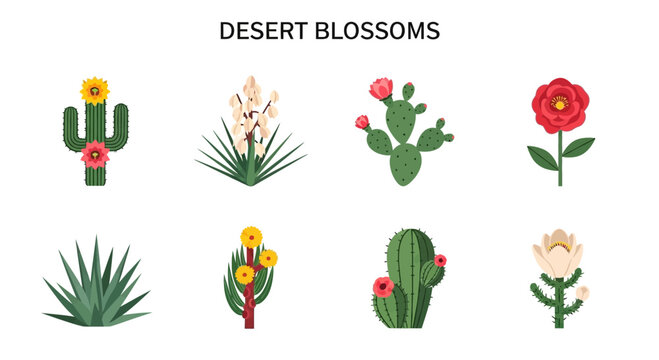 Eight illustrations of desert plants and flowers arranged in two rows on a white background