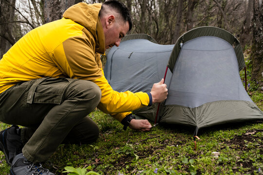 Into the Wild: A Journey Through Nature