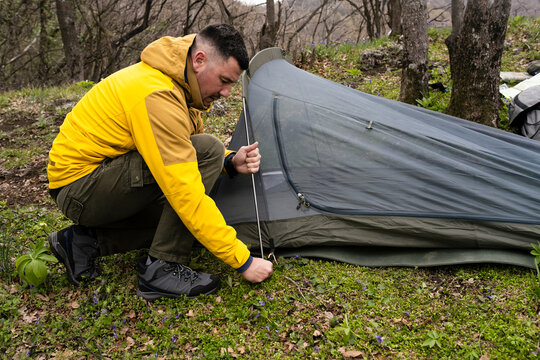 Into the Wild: A Journey Through Nature