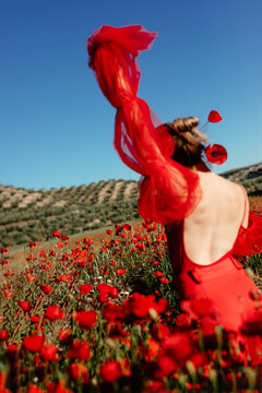 Blury  model wearing red clothes posing in poppy field 
