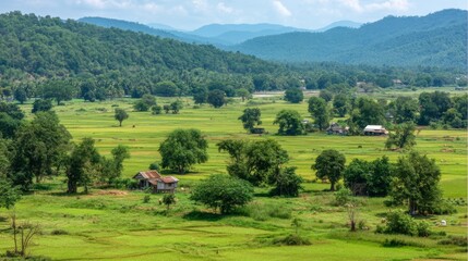 Lush Green Rice Fields with Small Houses Nestled Between Rolling Hills Under a Bright Blue Sky in a Scenic Rural Landscape