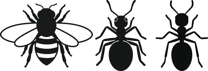 Three different types of ants and a bee vector illustration set Vector © Md sajjad Hossain