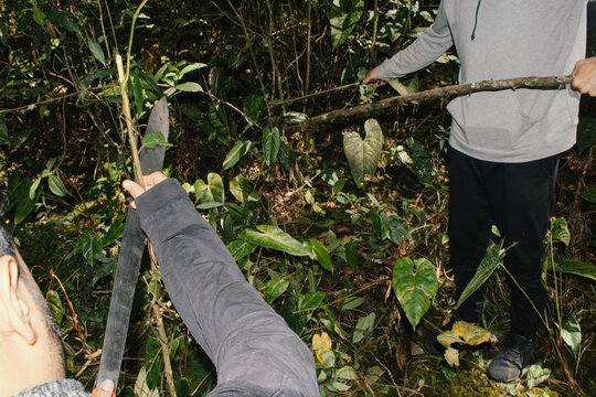 Two people clearing vegetation in a dense forest