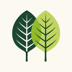 Two Green Leaves Minimalist Illustration on a Light Background.