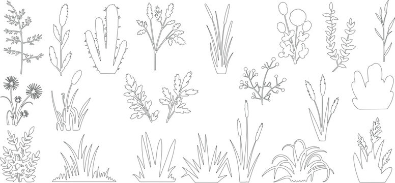 Collection of cad grass shrubs, and wildflowers. Illustration for elevation architectural element, side view, grass section. vector