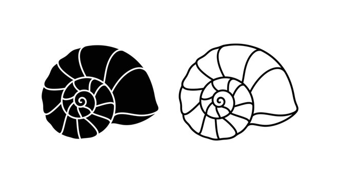 Ammonite shells, ancient fossil, natural history, paleontology, geology, science, education Vector