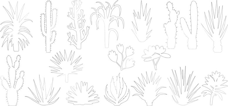 Set of desert flora agave, aloe, barrel cactus, saguaro, prickly pear, cholla, yucca, and desert wildflowers, line cad vector