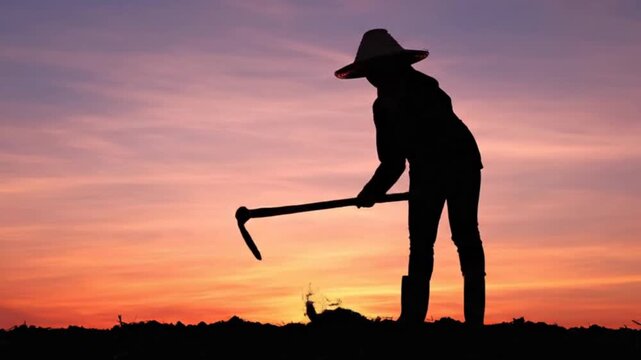 Farmer hoeing field silhouette