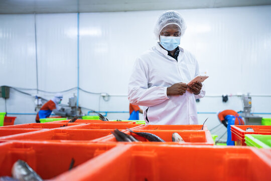 Quality control inspector using digital tablet for production data entry at seafood processing plant, Industrial logistics specialist managing fresh food inventory at seafood warehouse