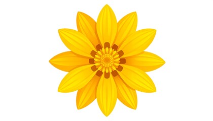 Obraz premium Vibrant Yellow Gazania Flower - A Detailed Close-Up of a Beautiful Bloom on White Background.