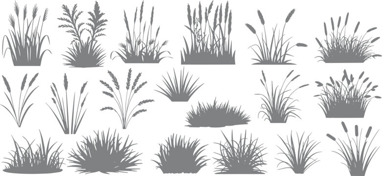 collection of grass line cad and silhouettes isolated on white background. Ground cover. Illustration for elevation architectural element, side view, grass section vector illustration