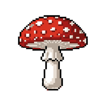 Pixel art illustration of a red mushroom with white spots on a white background