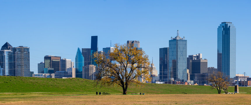 Dallas, Texas downtown skyline with tree in Trinity river park