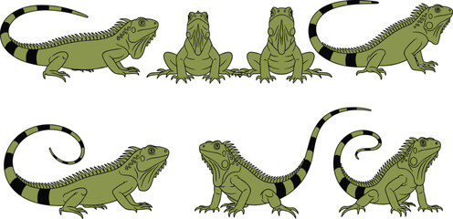 Obraz premium Flat vector illustration set of green iguana collection with various poses including side and front view for tropical reptile wildlife nature and exotic pet.