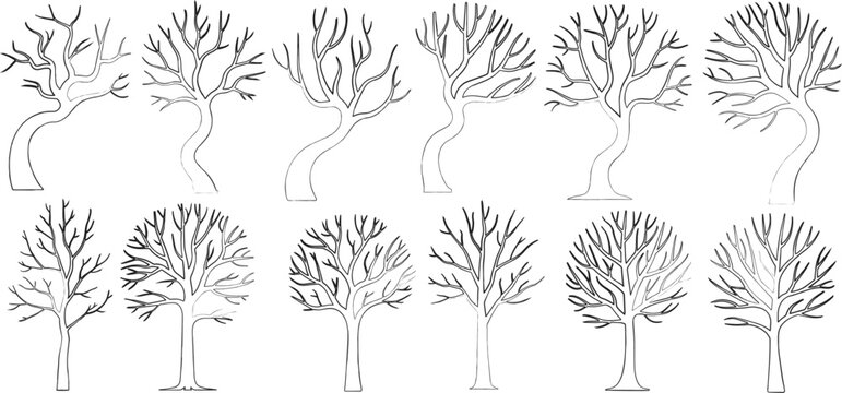 Set of bare trees for architecture and landscape design, vector illustration