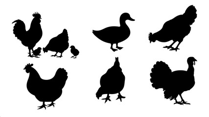 Cute cartoon farm animals and poultry silhouettes set featuring black vector illustrations of chickens, hens, roosters, and ducks for nature icons © Sahrul
