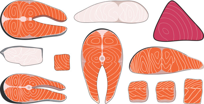 Flat vector illustration set of fresh raw salmon and tuna fish steaks fillets and slices for seafood market healthy cooking and organic protein nutrition.