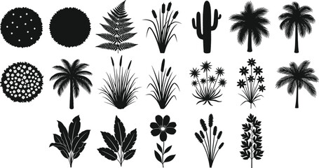 Tropical plants cactus palm fern and flower silhouettes set, botanical garden collection, black flat vector illustration isolated © Creative Soul