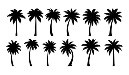 Palm tree silhouette vector set with tropical isolated palms in minimalist black flat design