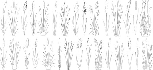 grass line cad set, Ground cover. Illustration for elevation architectural element, side view, grass section. vector illustration © shahzad